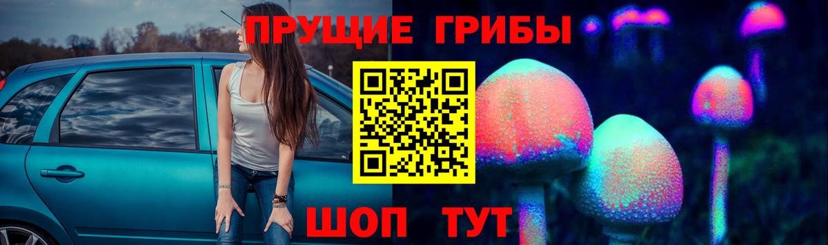 Галлюциногенные грибы Psilocybine cubensis  Вход с VPN  Алейск 